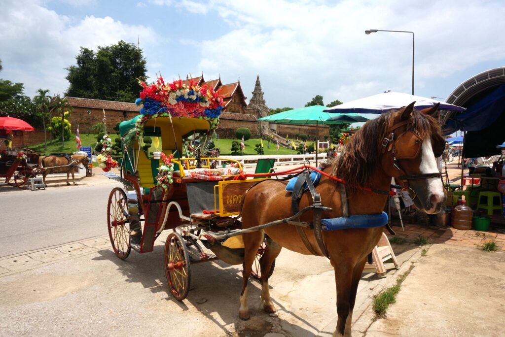 花馬車（ランパーン）